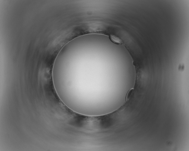 X0000114220327200910091353