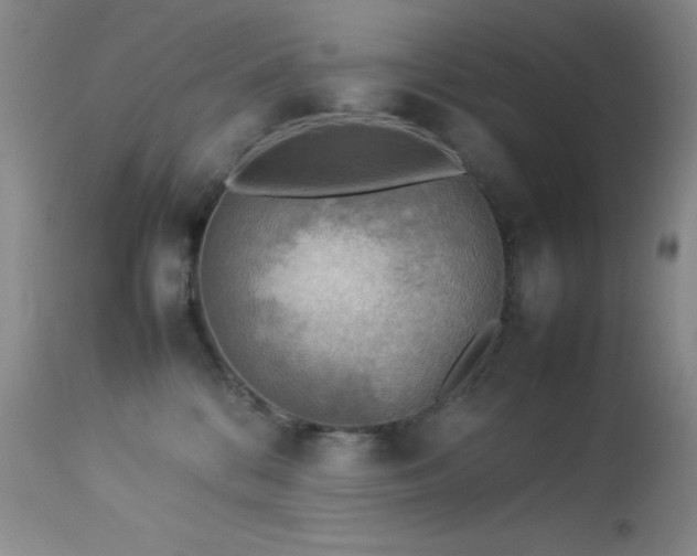 X0000114220328200910091353