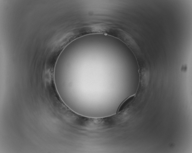 X0000114220329200910091353