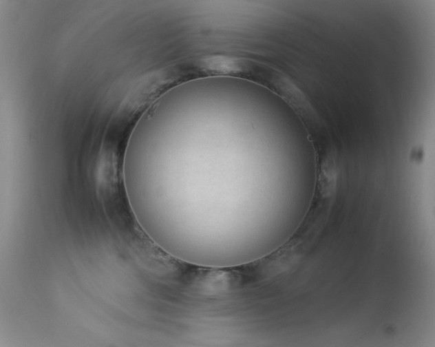 X0000114220330200910091353