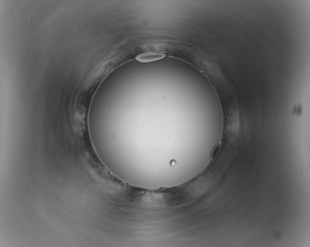 X0000114220332200910091353