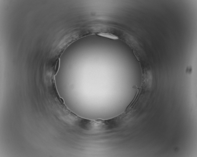 X0000114220333200910091353