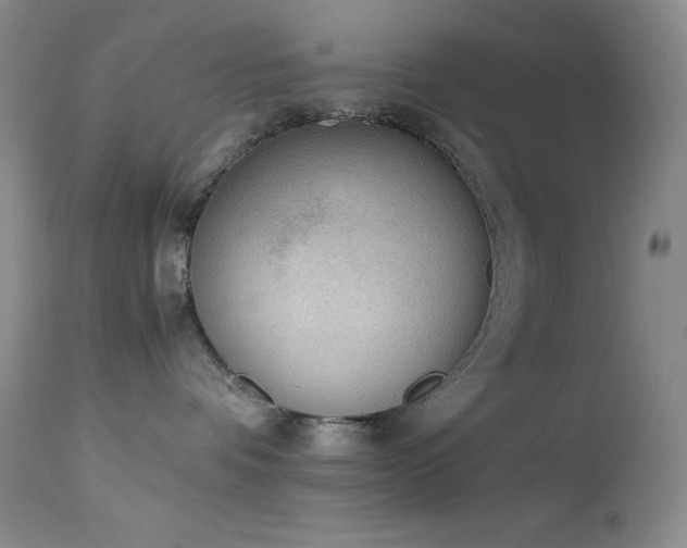 X0000114220336200910091353