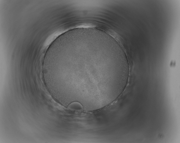 X0000114220337200910091353