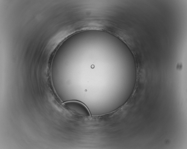 X0000114220338200910091353