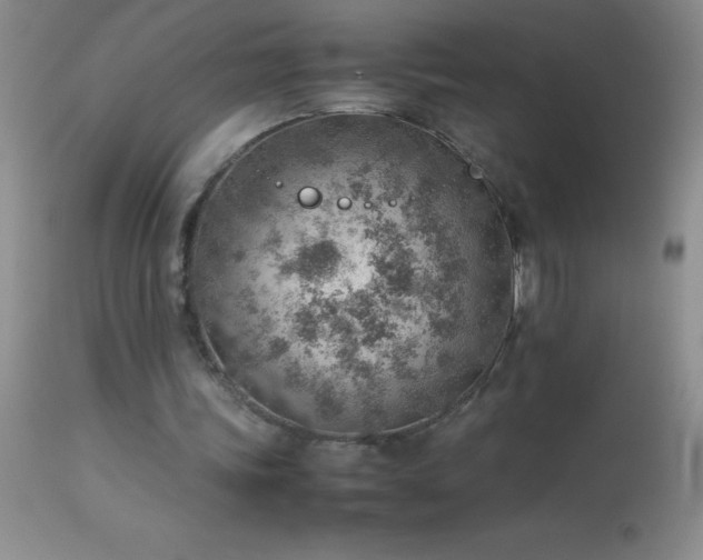 X0000114220339200910091353