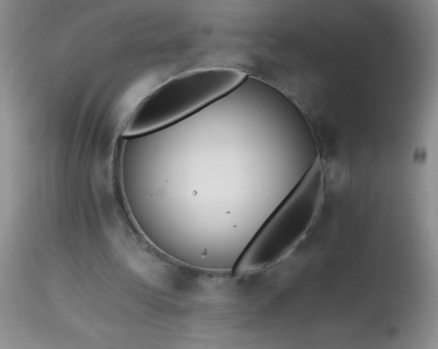 X0000114220340200910091353