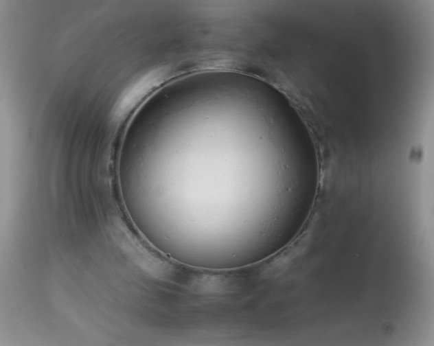 X0000114220341200910091353