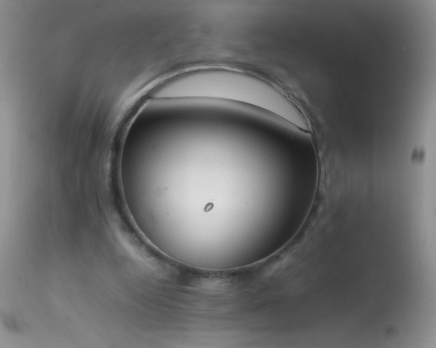 X0000114220344200910091353