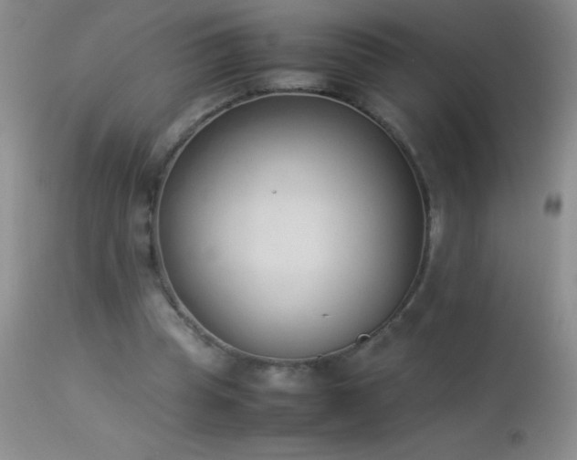 X0000114220345200910091353