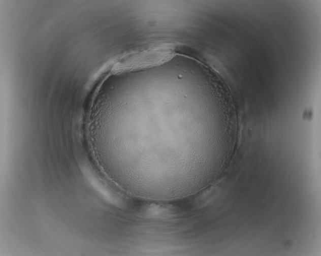 X0000114220346200910091353