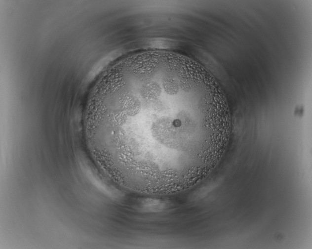 X0000114220347200910091353