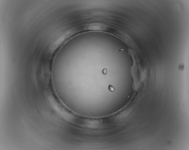 X0000114220349200910091353