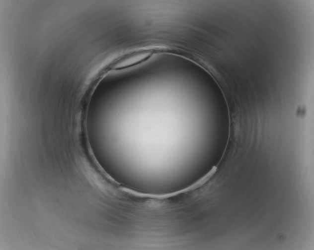 X0000114220350200910091353