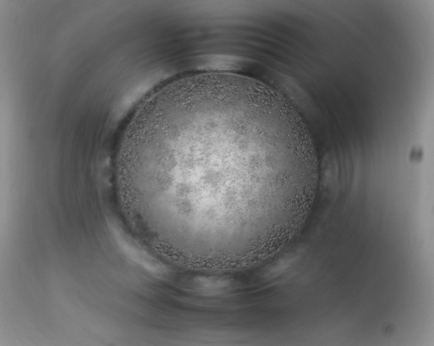 X0000114220351200910091353