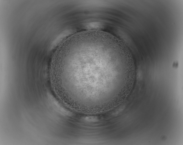 X0000114220353200910091353