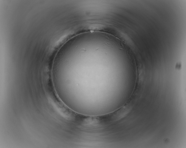 X0000114220354200910091353