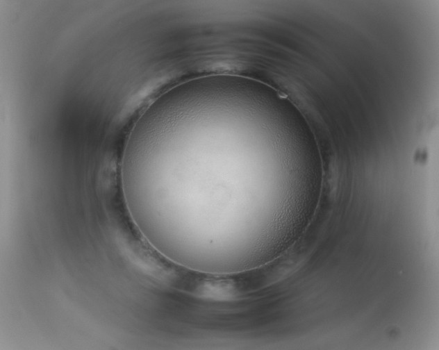 X0000114220355200910091353