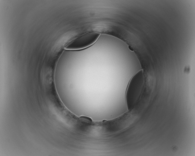 X0000114220356200910091353