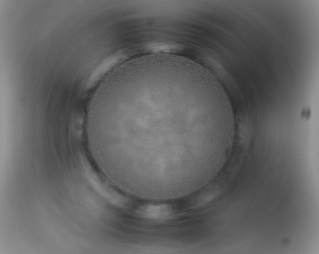 X0000114220357200910091353