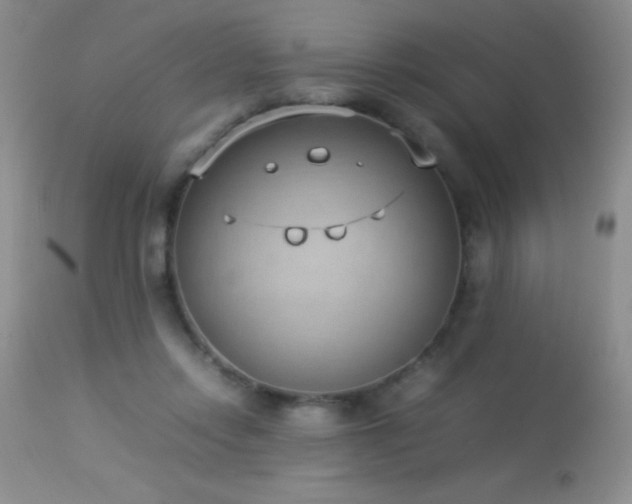 X0000114220358200910091353