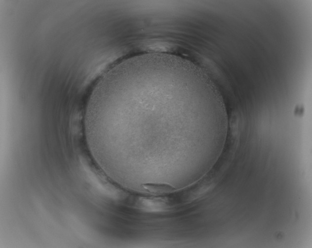 X0000114220359200910091353