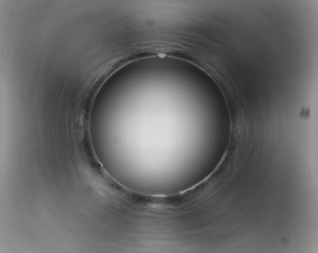 X0000114220360200910091353