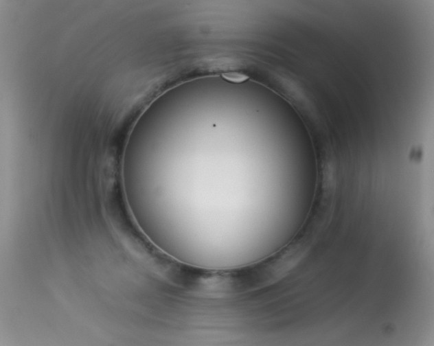 X0000114220362200910091353