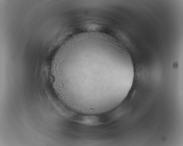 X0000114220363200910091353