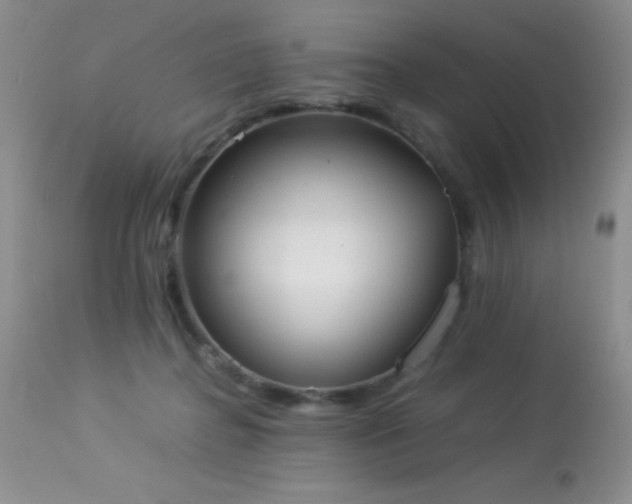 X0000114220364200910091353