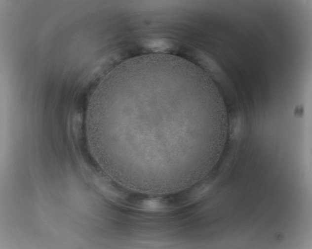 X0000114220365200910091353