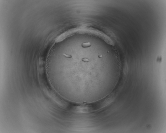 X0000114220366200910091353