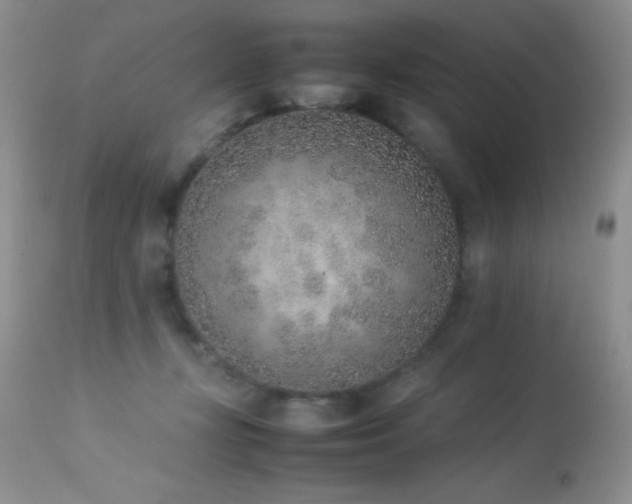 X0000114220367200910091353