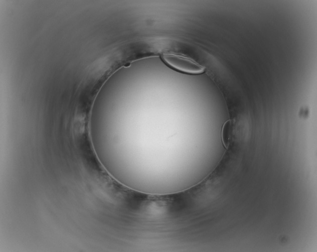 X0000114220368200910091353