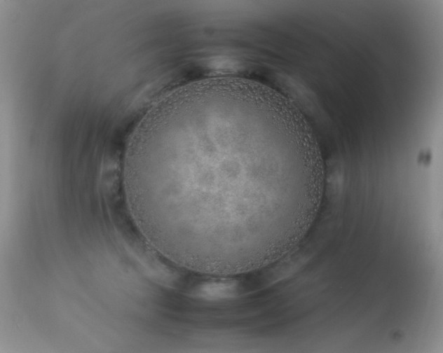 X0000114220369200910091353