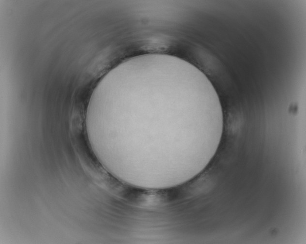 X0000114220370200910091353