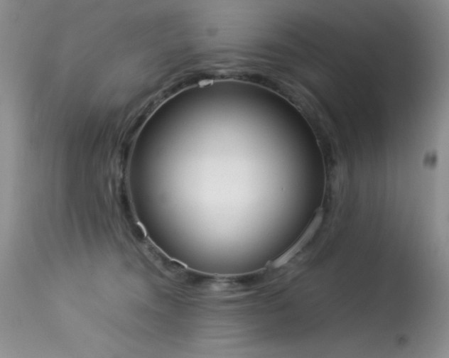 X0000114220372200910091353