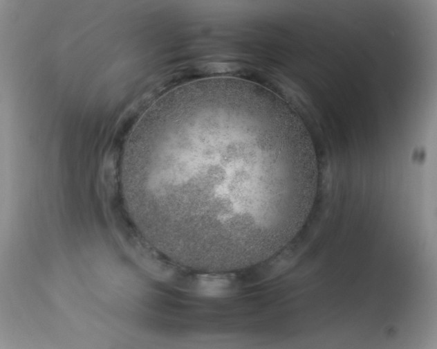 X0000114220373200910091353