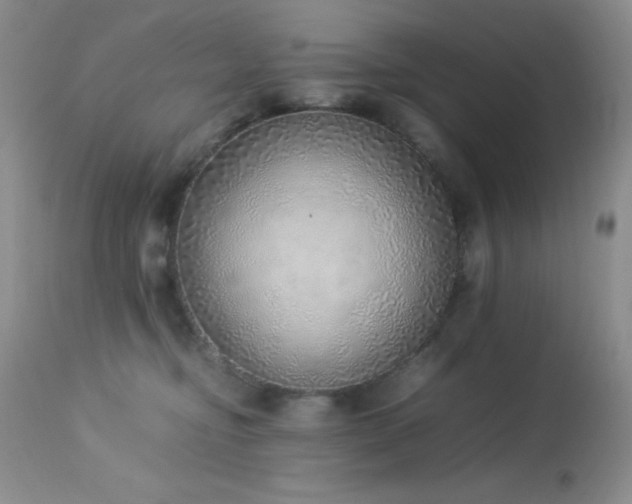 X0000114220374200910091353