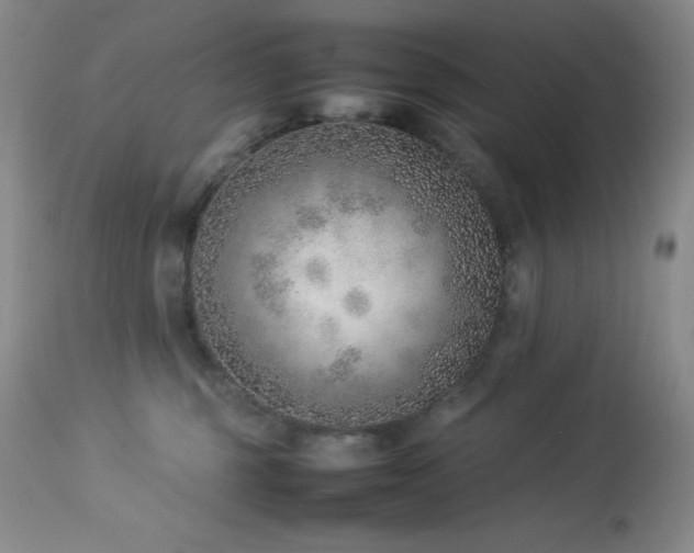 X0000114220375200910091353