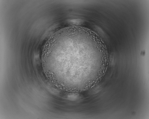 X0000114220377200910091353