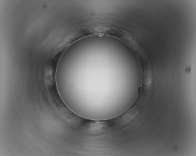 X0000114220378200910091353