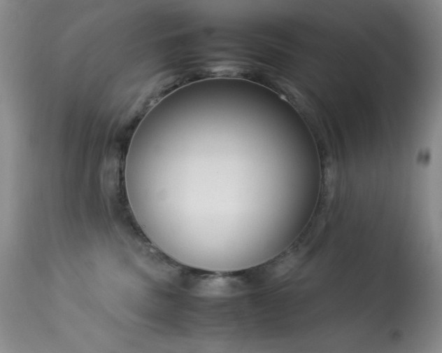 X0000114220379200910091353