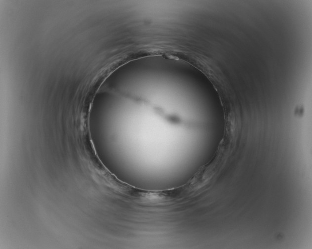 X0000114220380200910091353