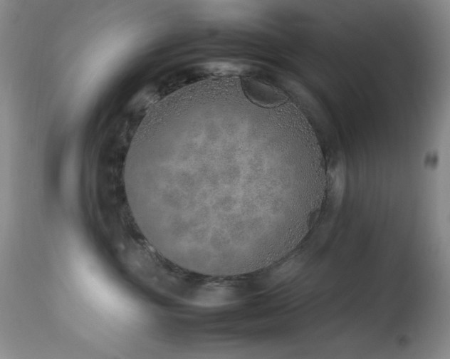 X0000114220381200910091353