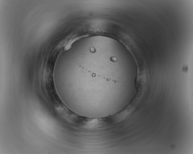 X0000114220382200910091353