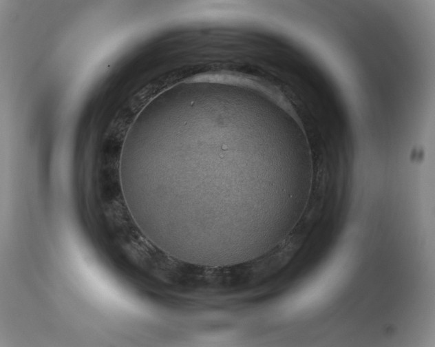 X0000114220383200910091353