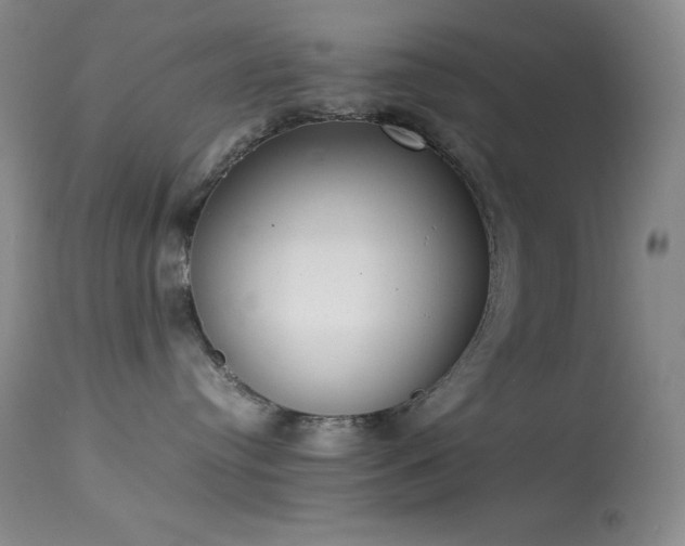 X0000114220384200910091353