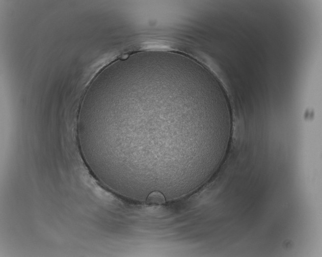 X0000114220385200910091353