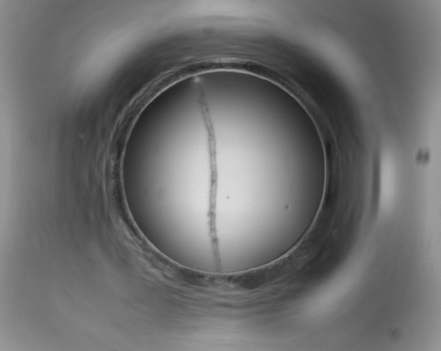 X0000114220387200910091352